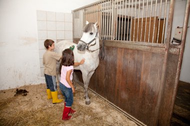 Boy and Girl Grooming a Horse clipart