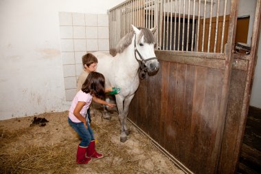 Boy and Girl Grooming a Horse clipart