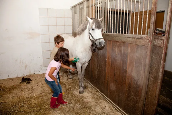 Garçon et fille toilettant un cheval — Photo
