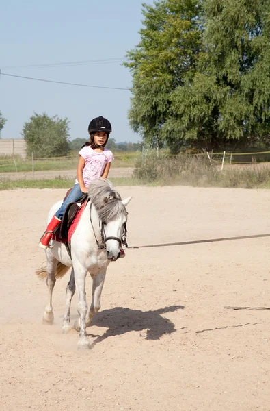 stock image Little Girl Taking Horseback Riding Lessons