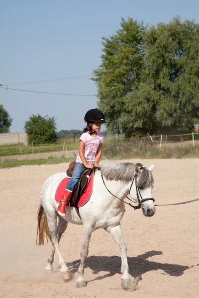 乗馬のレッスンを撮っている女の子 — ストック写真