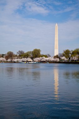 washington dc Washington Anıtı ile gelgit Havzası yansıtılması