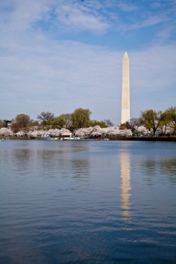 Washington DC Washington Monument reflected in Tidal Basin with clipart