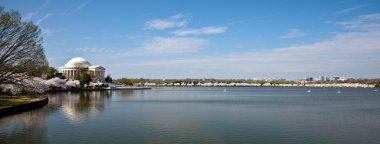 Washington DC Jefferson Memorial with Cherry Blossoms clipart