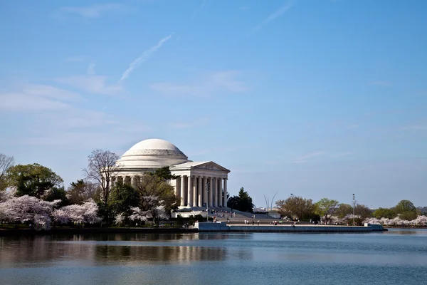 华盛顿杰斐逊纪念堂与樱花 — 图库照片