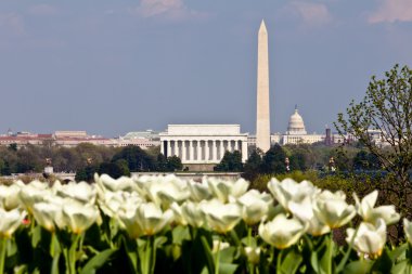Washington dc manzarası ile lincoln Anıtı, washington Anıtı