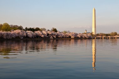 Washington DC Washington Monument reflected in Tidal Basin with clipart