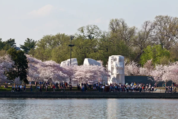 马丁 · 路德 · 金国王纪念碑在华盛顿特区与樱花 — 图库照片