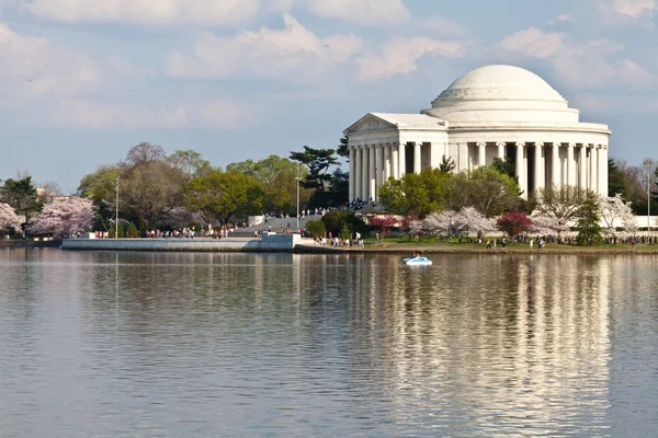 Washington dc jefferson památník s Třešňové květy — Stock fotografie