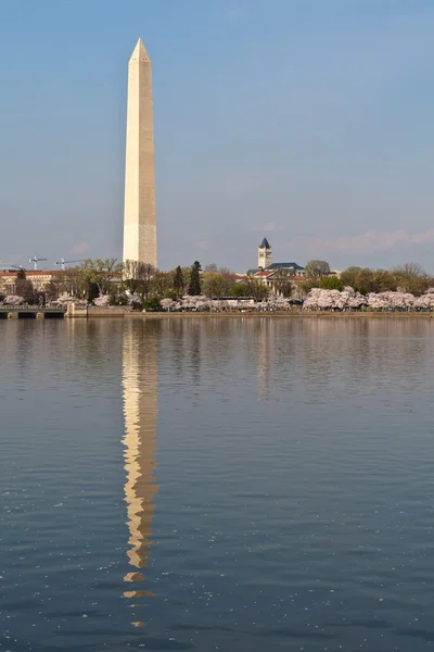 Washington DC Washington Monument reflected in Tidal Basin with — Stock Photo, Image