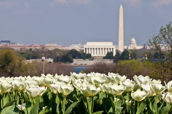 Washington DC Skyline com Lincoln Memorial, Monumento a Washington Fotografias De Stock Royalty-Free