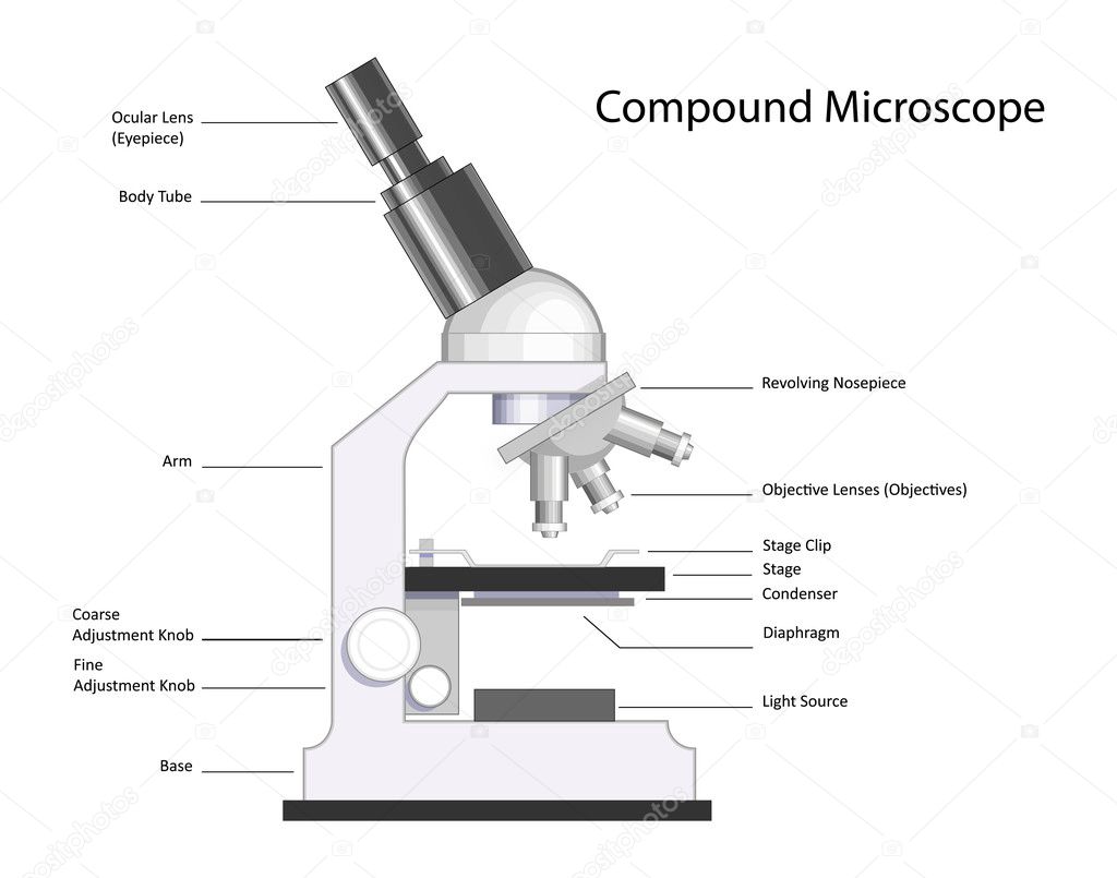 Compound Microscope Stock Vector Image by ©9and3quarters #9072301