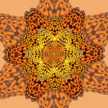 Butterfly kaleidoscope clipart