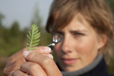 Ecologist determined a plant clipart