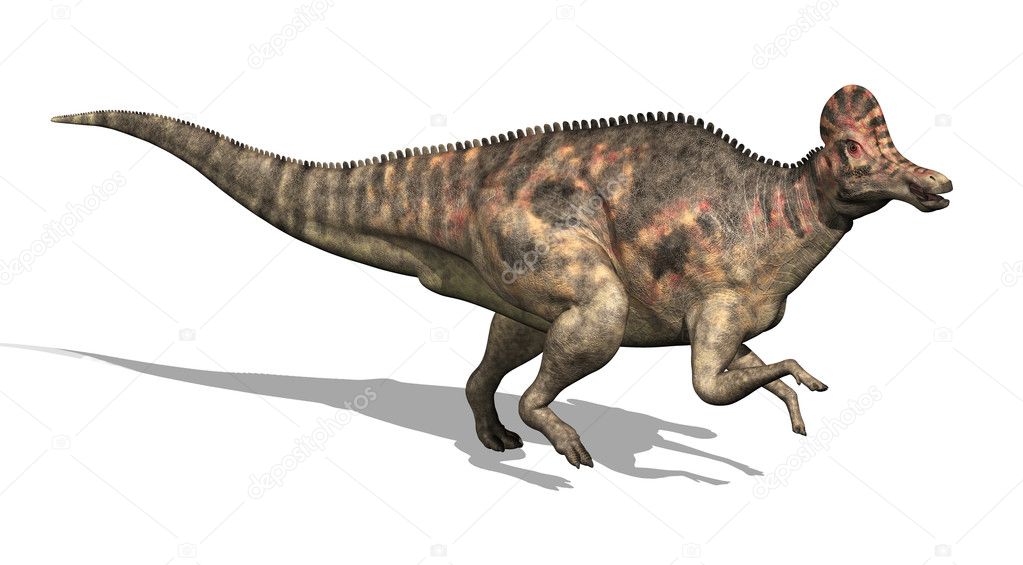 corythosaurus dinosaur with crest on head