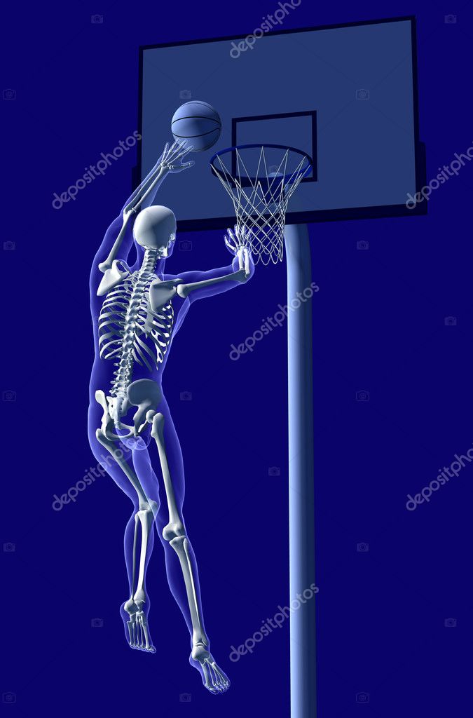 Basketball Anatomy — Stock Photo © AlienCat #8295246