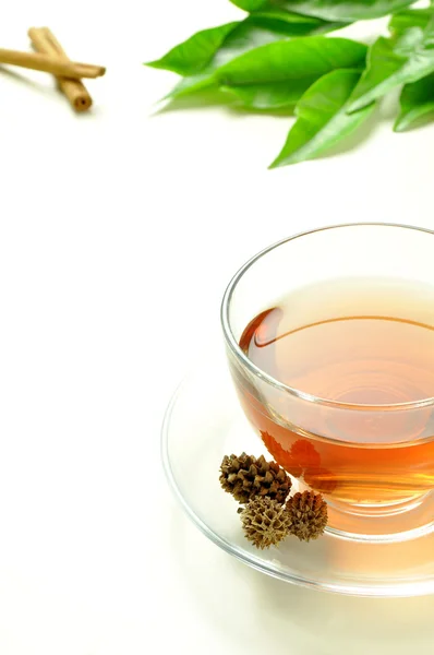 Té relajante — Foto de Stock