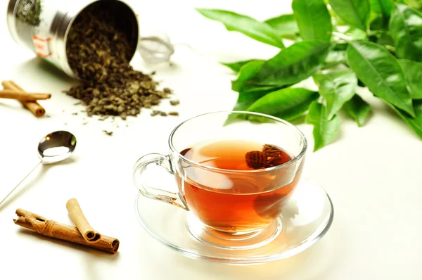 Té relajante — Foto de Stock