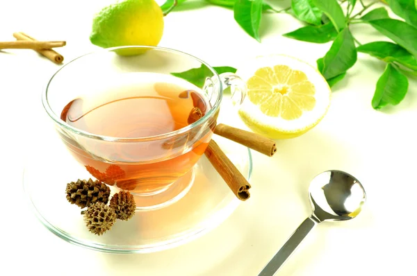 Расслабляющий чай Лицензионные Стоковые Изображения