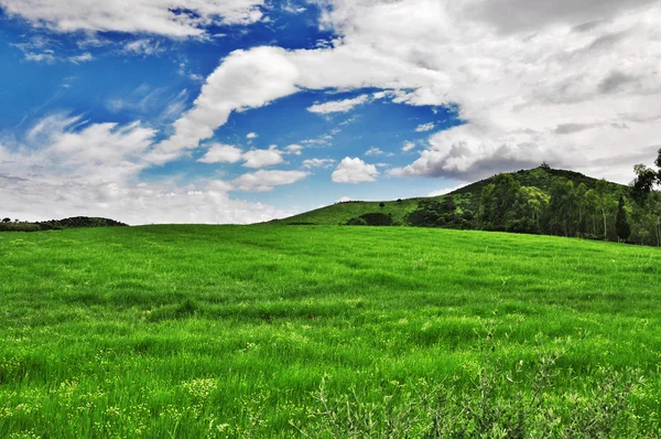 stock image Green field with cloudy sky