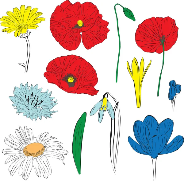 Un ensemble de fleurs printanières — Image vectorielle