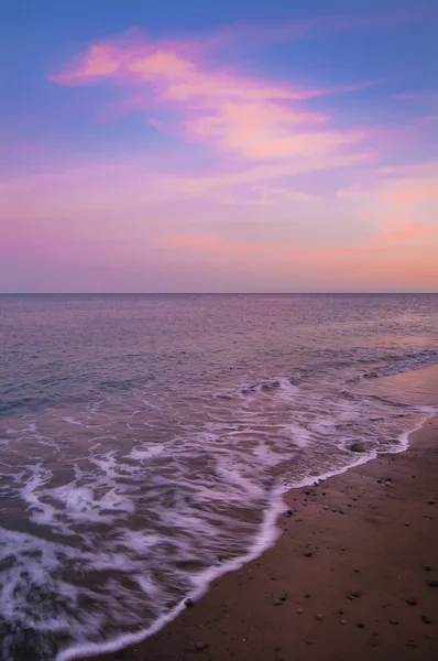 Havet solnedgång i rosa toner. Stockbild