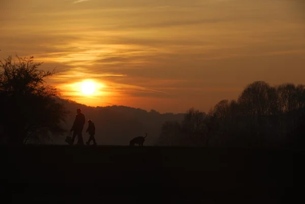 stock image Vater, Sohn und Hund