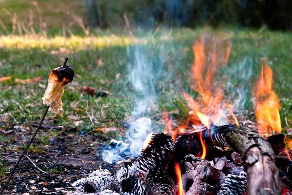 stock image Picnic, roasting bread