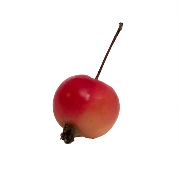 Pequena maçã — Fotografia de Stock