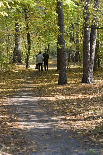 stock image Old couple walking in autumnal forest