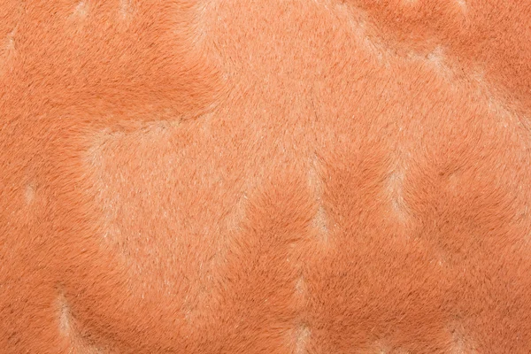 Texture de laine — Photo