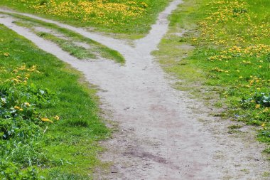 yol çatal