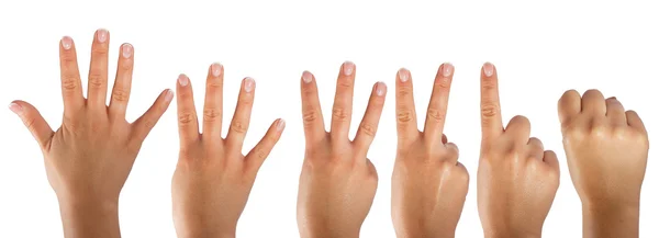 Hand counting — Stock Photo, Image