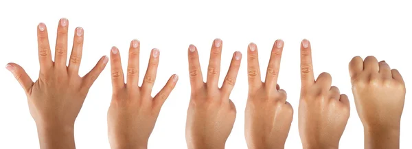 stock image Hand counting