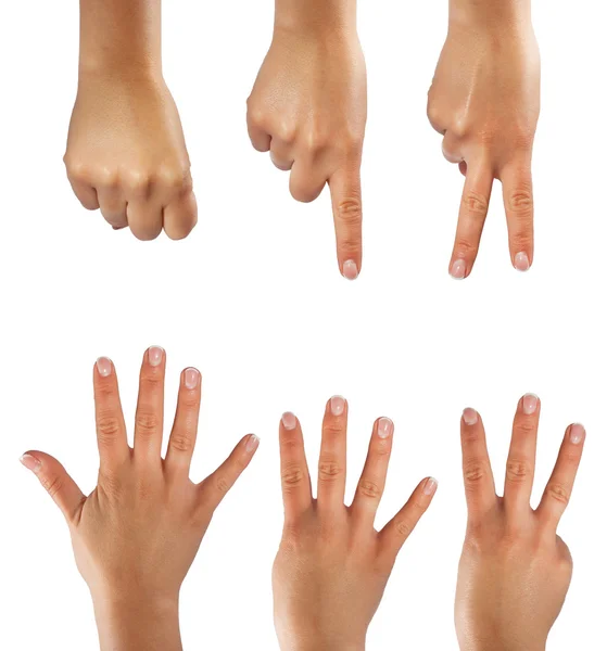Liczy sześć rąk — Zdjęcie stockowe
