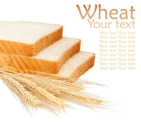 Pšenice produktů a uši — Stock fotografie
