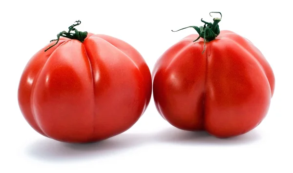 Два красных классических помидора — стоковое фото