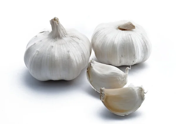 Garlics em fundo branco — Fotografia de Stock