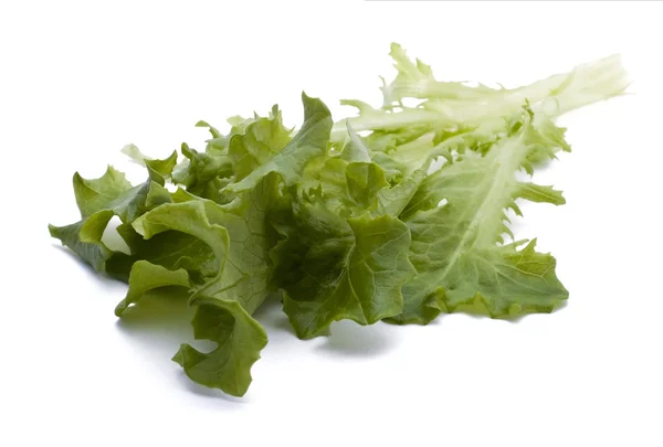 Lettuce leaf bunch — Stock Photo, Image