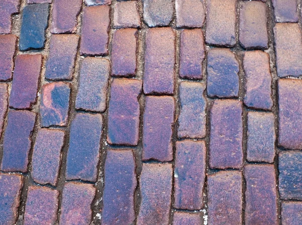 Violett gångväg — Stockfoto