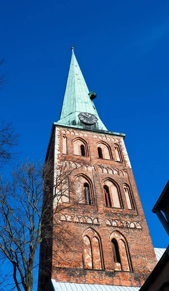 Die Kuppelkathedrale in Riga — Stockfoto