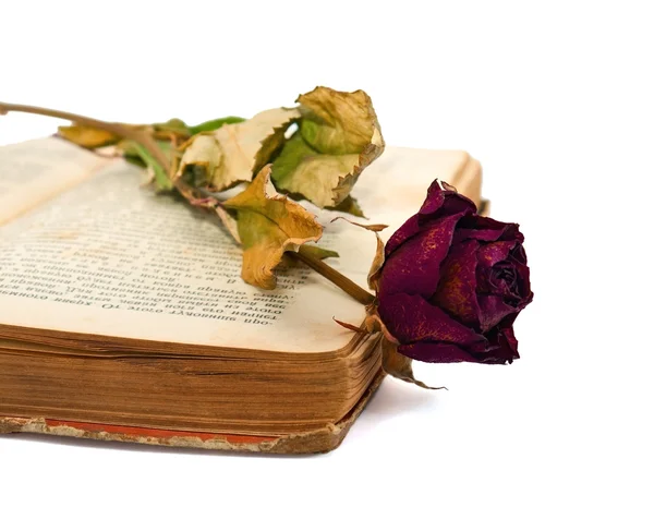 Oud boek en rose — Stockfoto