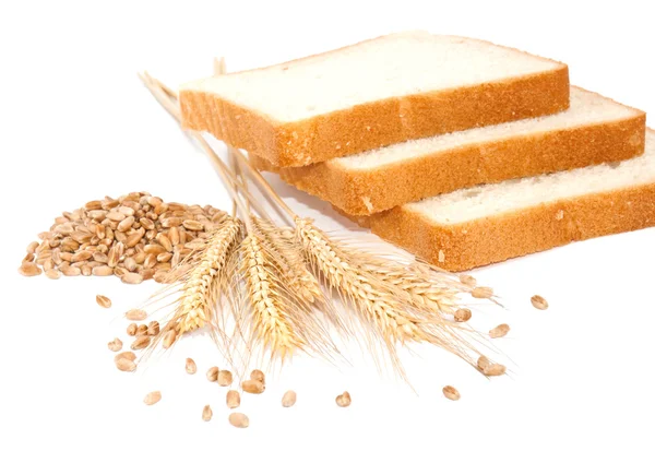 Wheat concept — Stock Photo, Image
