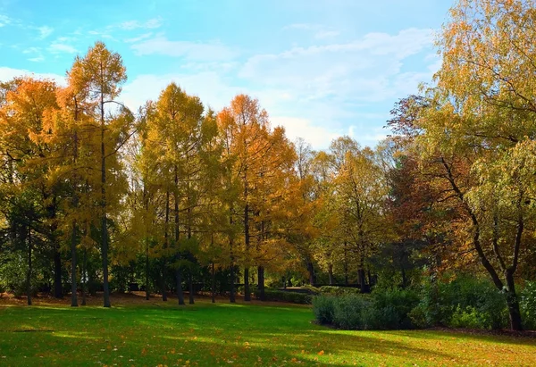 Taman musim gugur — Stok Foto