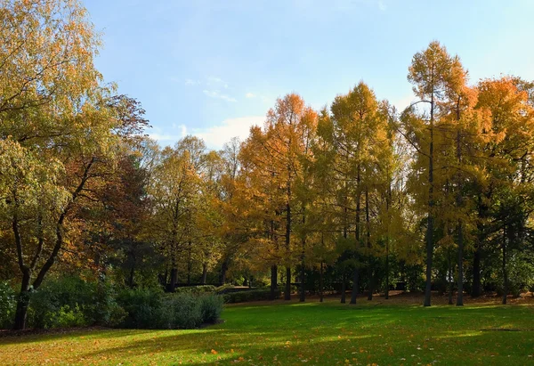 Autumn park — Stock Photo, Image