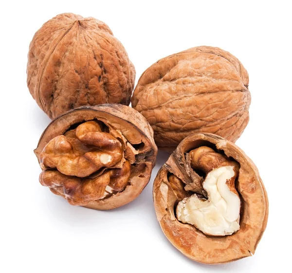 Four greek walnuts isolated on white background — Stock Photo, Image