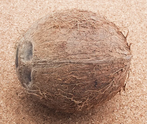 Celý kokos na korkové pozadí — Stock fotografie