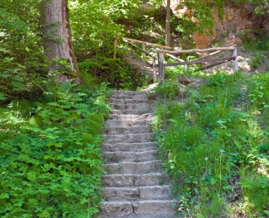 Stairs in forest clipart