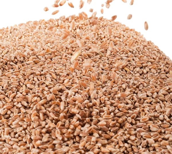 Wheat for background — Stock Photo, Image