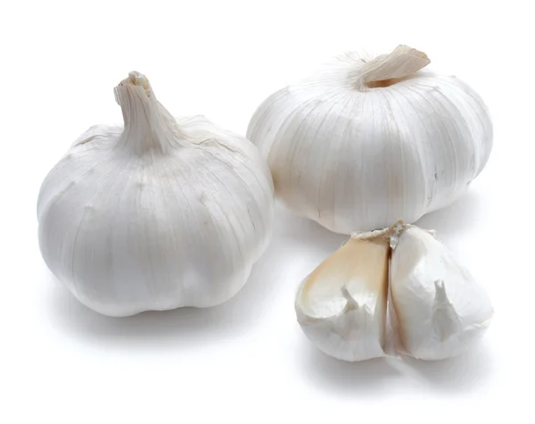 Dois garlics — Fotografia de Stock